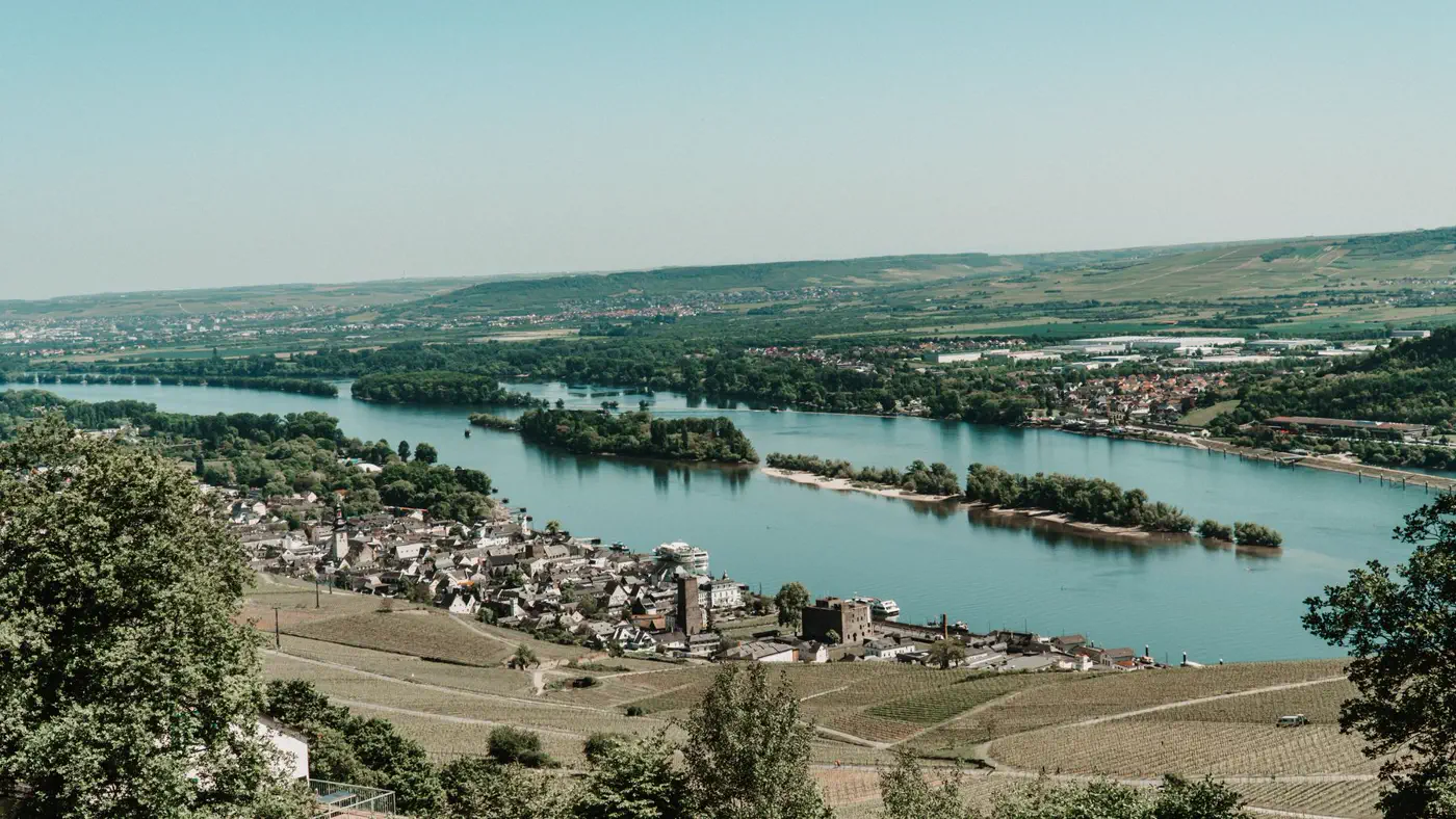Weiter Blick über das Rheintal mit Insel, Weinbergen und Hügeln